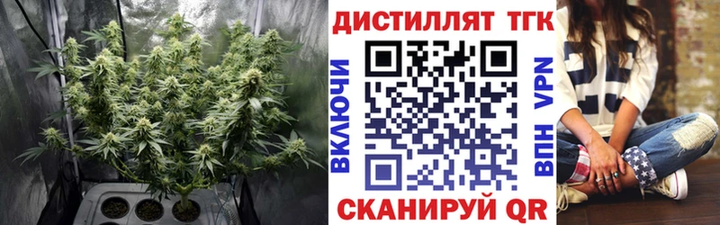 ТГК вейп  omg ТОР  Кстово 